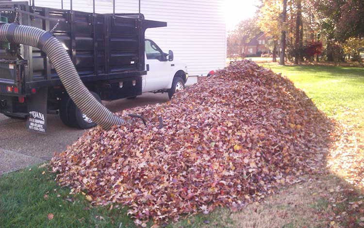 Indianapolis Landscaping